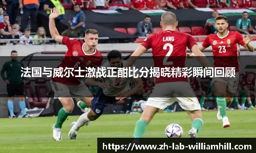 法国与威尔士激战正酣比分揭晓精彩瞬间回顾