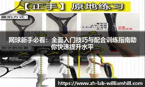 网球新手必看:全面入门技巧与配合训练指南助你快速提升水平